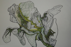 MARIPOSA ESCONDIDA ENTRE LAS HIERBAS 30x 45 cm.
